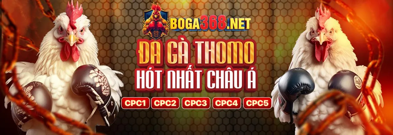 Sân vận động với trận đấu thể thao sôi động và logo qq88 đá gà
